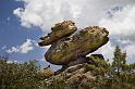 095 Chiricahua National Monument